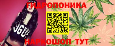гидропоника Рузаевка