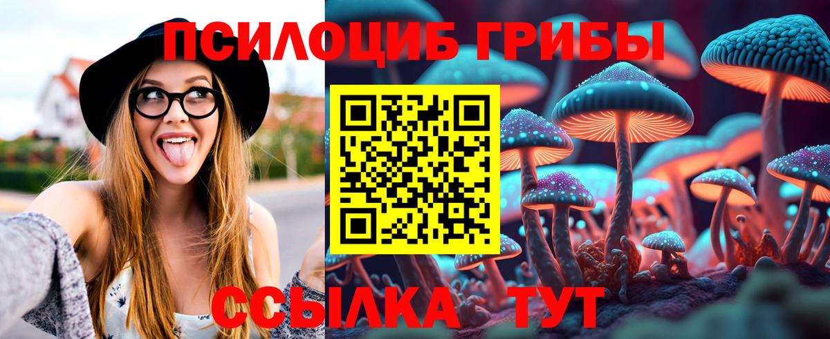 Псилоцибиновые грибы Psilocybe Ржев